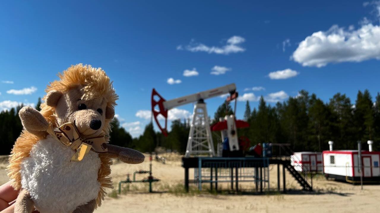 Здесь мы живём, учимся, взрослеем