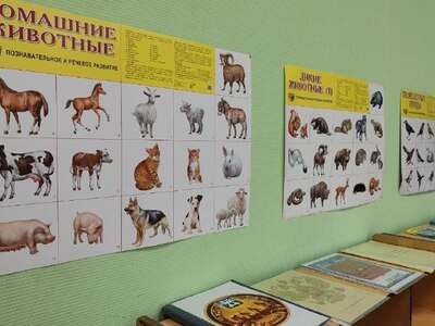 Кабинет 42, Мир вокруг нас