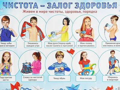 3. Чистота — залог здоровья